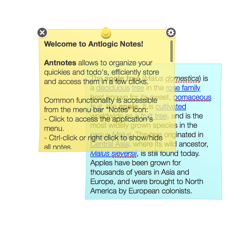 Antnotes screenshot